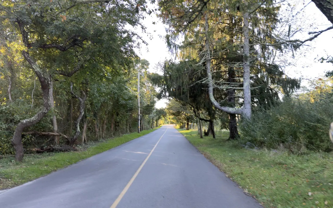 Music Street in West Tisbury, a narrow two-lane road with a yellow center line under old trees, a road mirror on a post at right