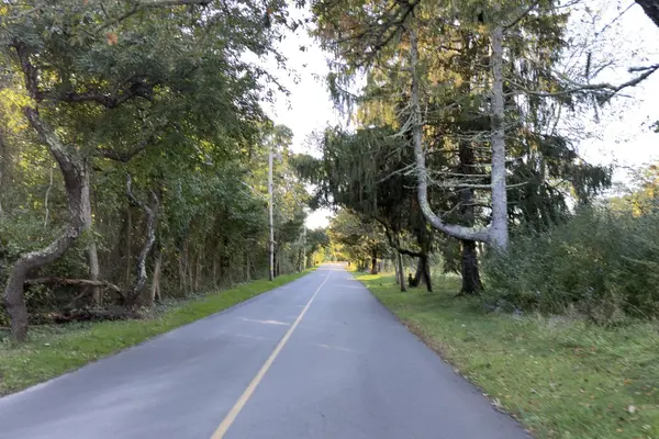 Music Street in West Tisbury