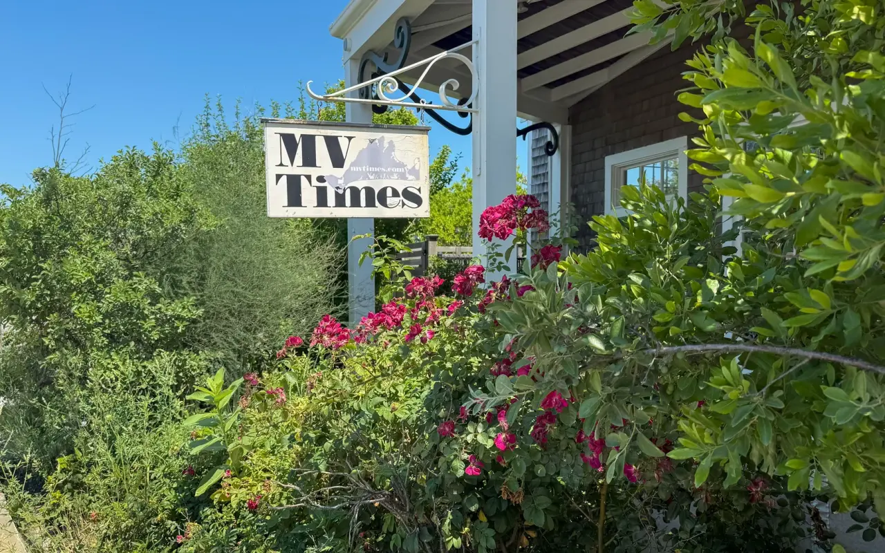 The MV Times newspaper sign in front of its Vineyard Haven office with roses in bloom