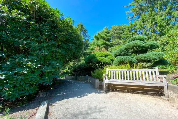 A bench beside a gravel path at Mytoi.