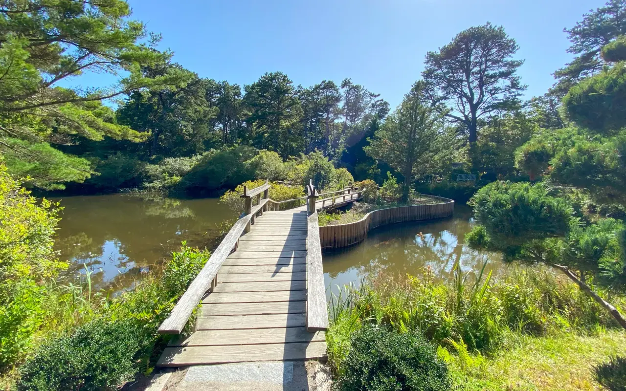 Wooden footbridge crossing a pond among trees in the Mytoi Japanese garden