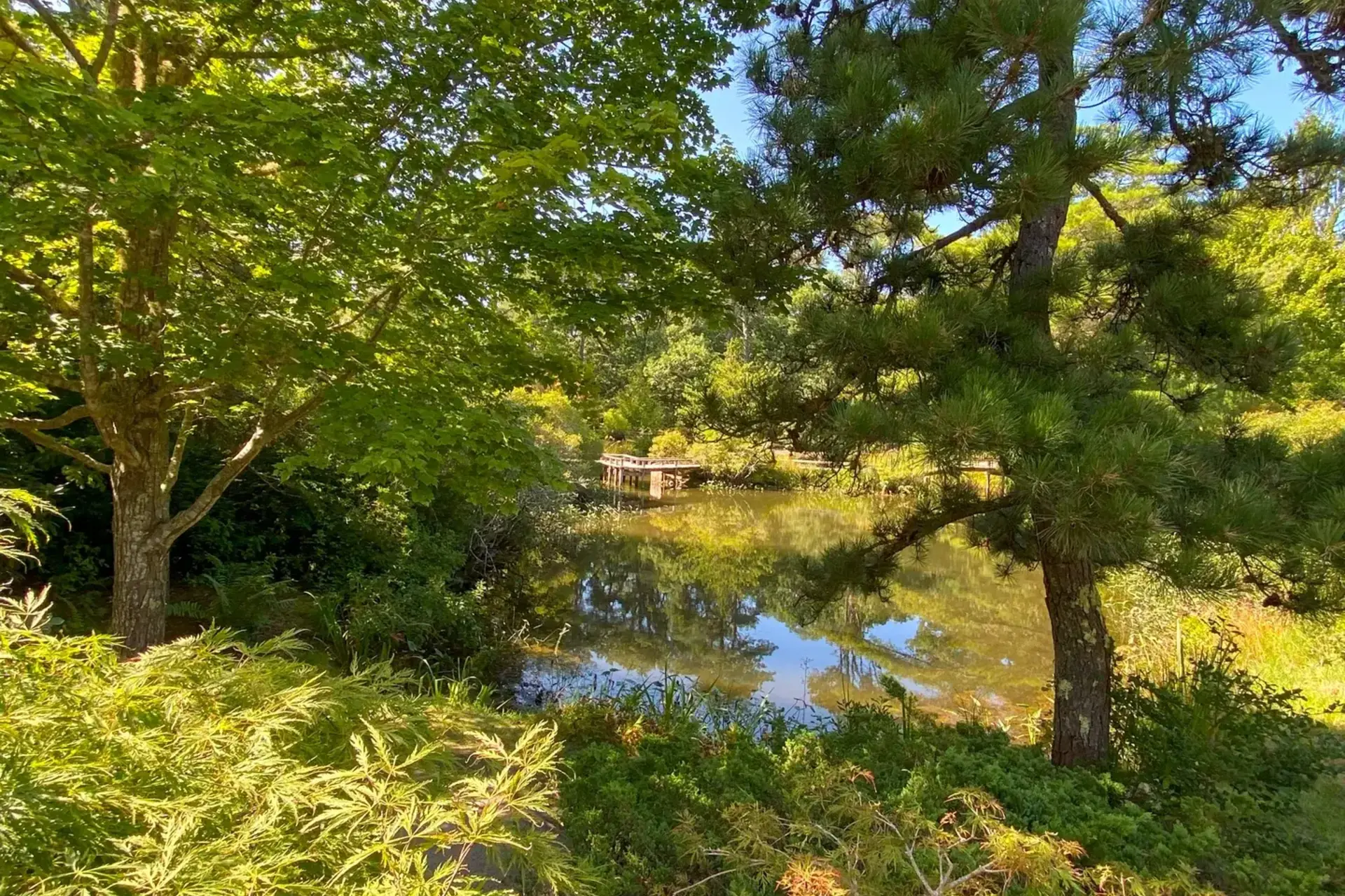 Martha's Vineyard in May: Empty Beaches, Open Gardens and the Cheapest Rooms of the Year (2026)