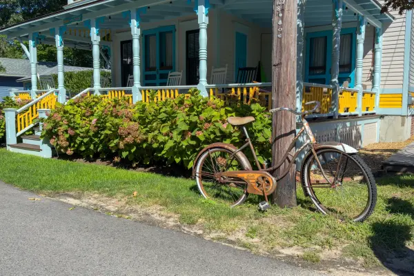 A cruiser bike outside a candy-colored cottage, hydrangeas in bloom.