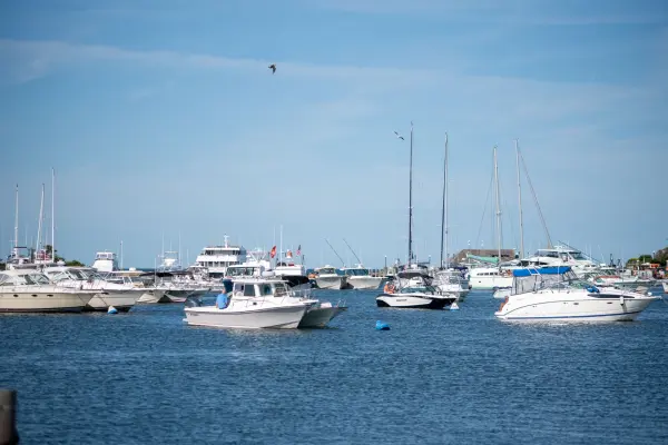 Boats stacked into every corner of the harbor on a busy August day