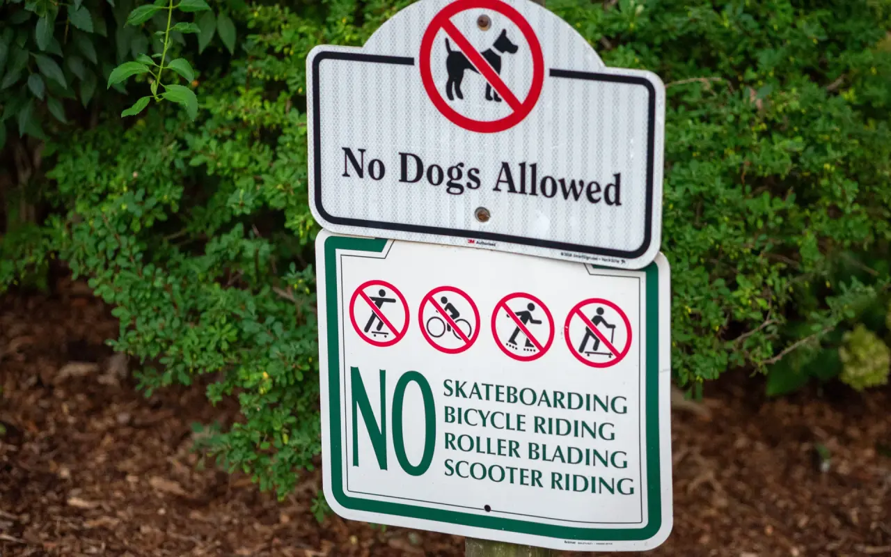 No Dogs Allowed sign above a no skateboarding, bicycle riding, roller blading or scooter riding sign in Oak Bluffs