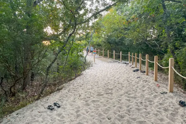 Roped sandy path through the woods toward Lamberts Cove Beach