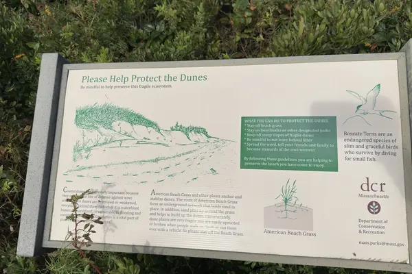 The state Protect the Dunes sign by a dune path