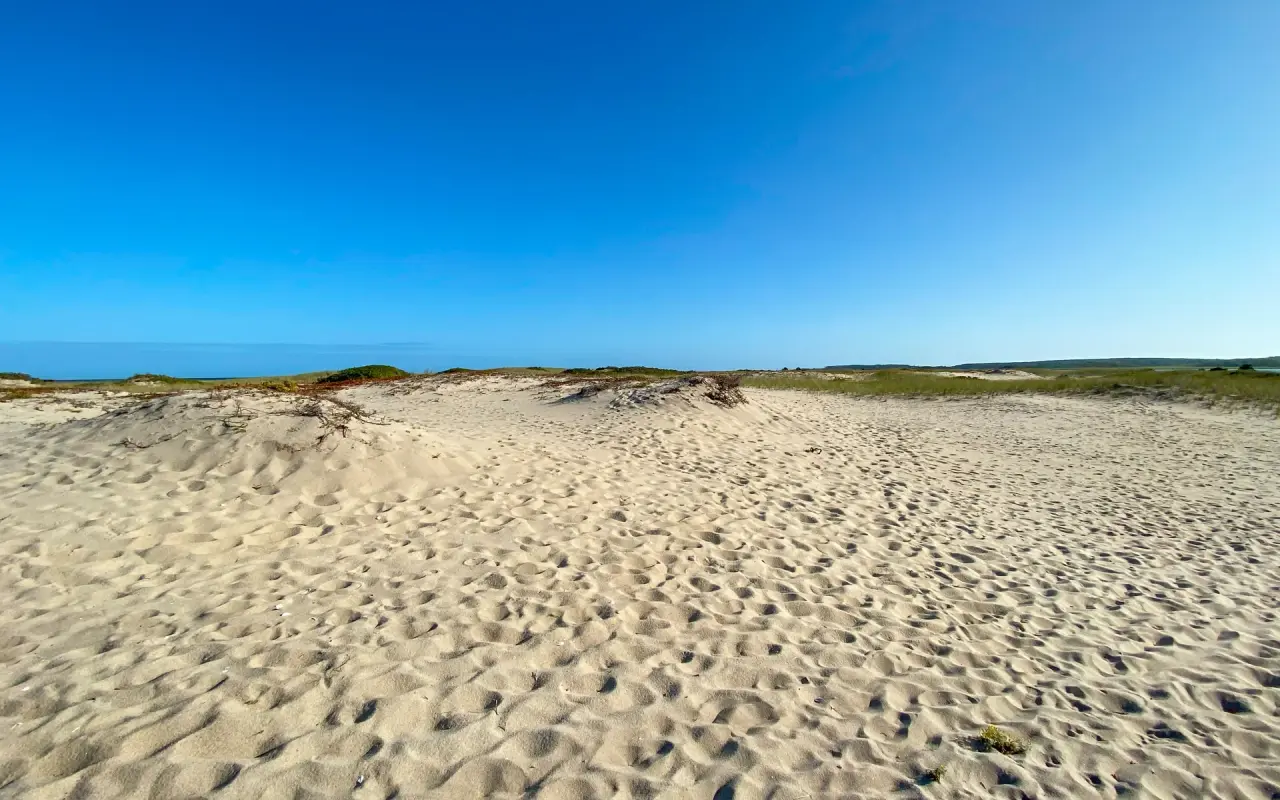 Sand and dune grass on a beach at Chappaquiddick