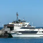 Seastreak Ferry to Martha's Vineyard: New Bedford and NYC (2026)