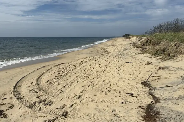 The open stretch between the forks, the dune cut back by erosion