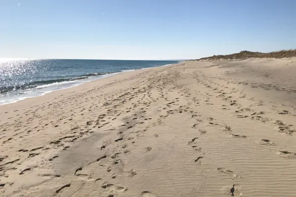South Beach, Martha's Vineyard