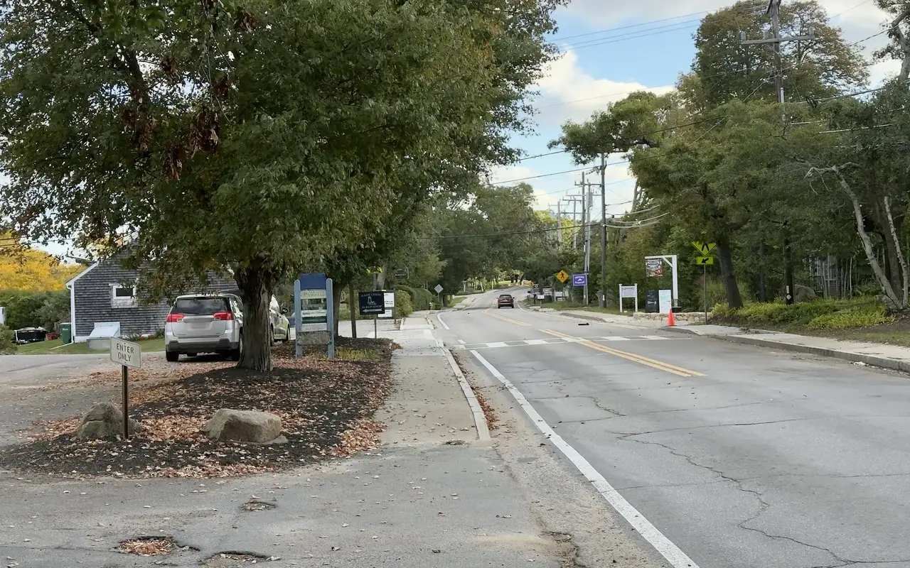 State Road in Vineyard Haven near Cronig’s Market in October, fallen leaves under a large tree and the road curving uphill under trees