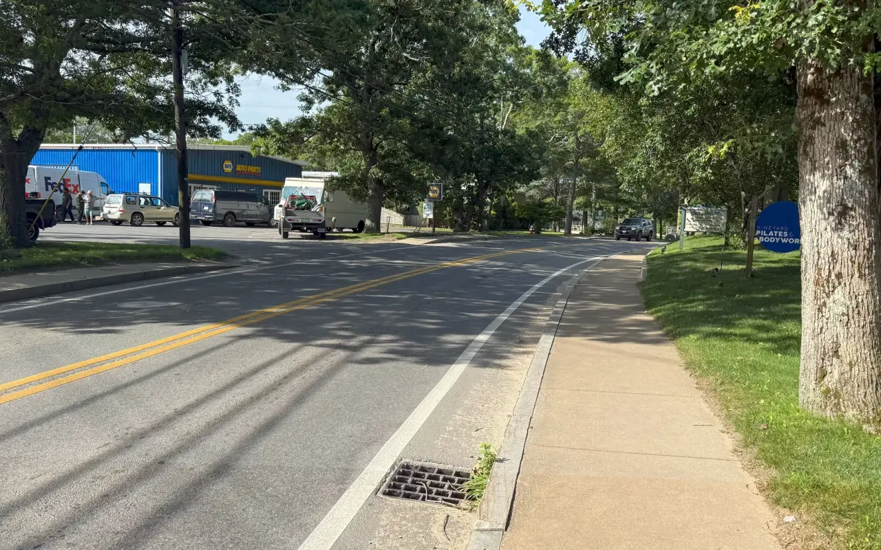 A tree-lined stretch of State Road in Vineyard Haven with a truck parked on the shoulder