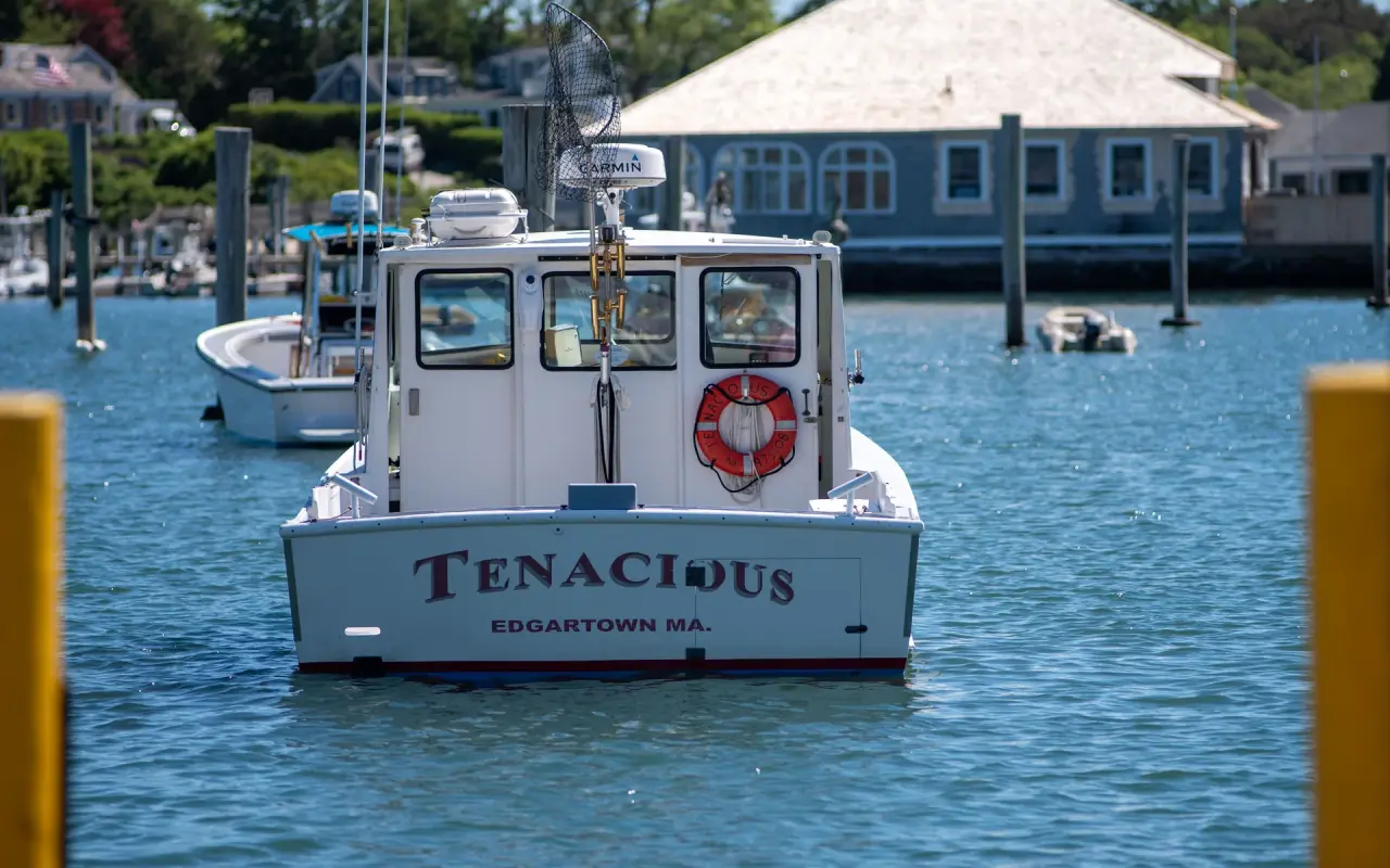The white stern of a fishing boat named Tenacious, Edgartown MA, with an orange life ring and a landing net, moored in Edgartown Harbor with a shingled building behind