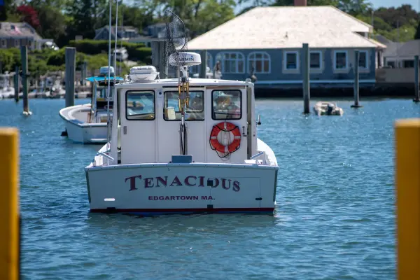 The Tenacious moored in Edgartown