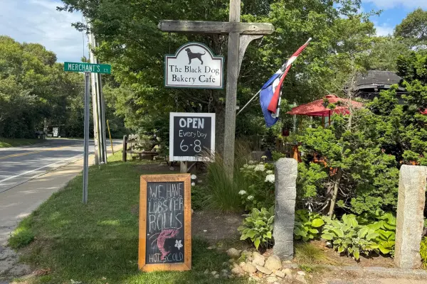 The Black Dog Bakery Café sign on State Road · 'We have lobster rolls'