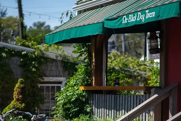 Bikes racked along the fence at the Black Dog Tavern, Vineyard Haven