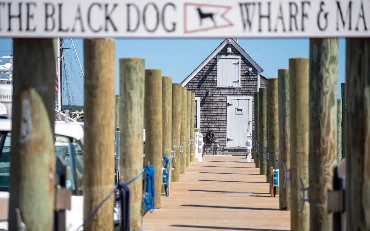 Looking down a wooden wharf between pilings toward a small shingled shed, a Black Dog Wharf sign overhead