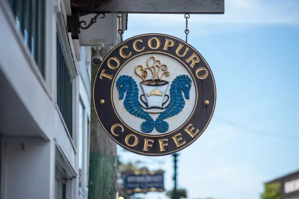 Toccopuro Coffee in Oak Bluffs