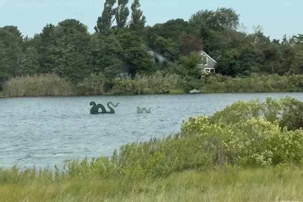 Vanessa the sea serpent and her baby on Farm Pond