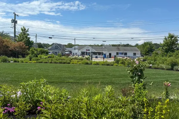 Boch Park from across Beach Road