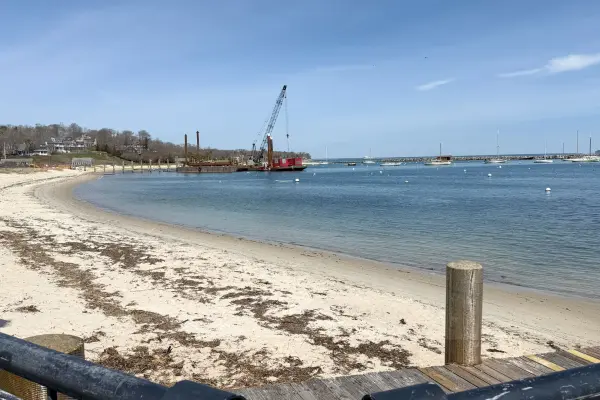 Vineyard Haven Harbor in 2026