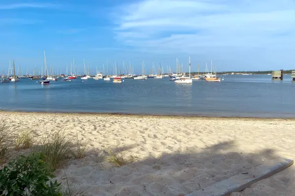 Vineyard Haven harbor boats, sunny day