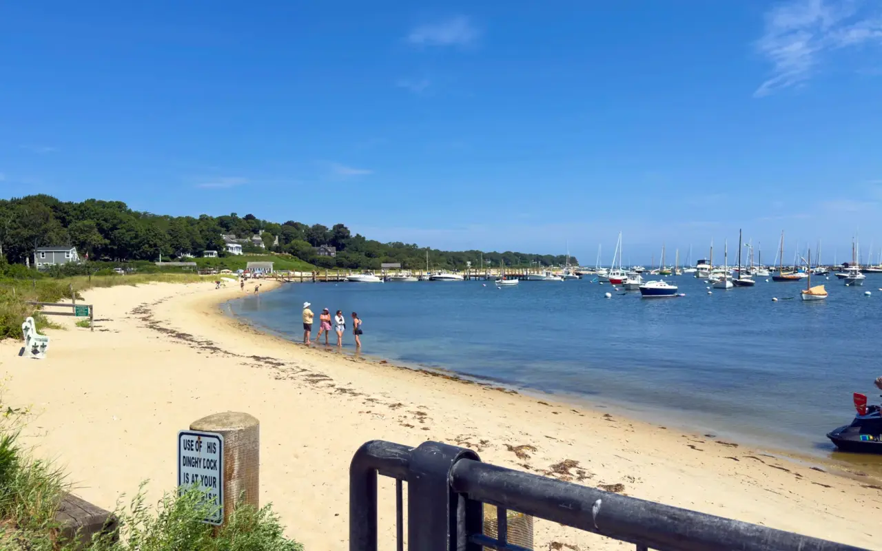 The sandy beach at Owen Park in Vineyard Haven with moored boats and people near the water