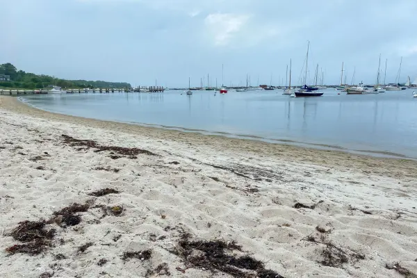 Vineyard Haven harbor on an overcast day