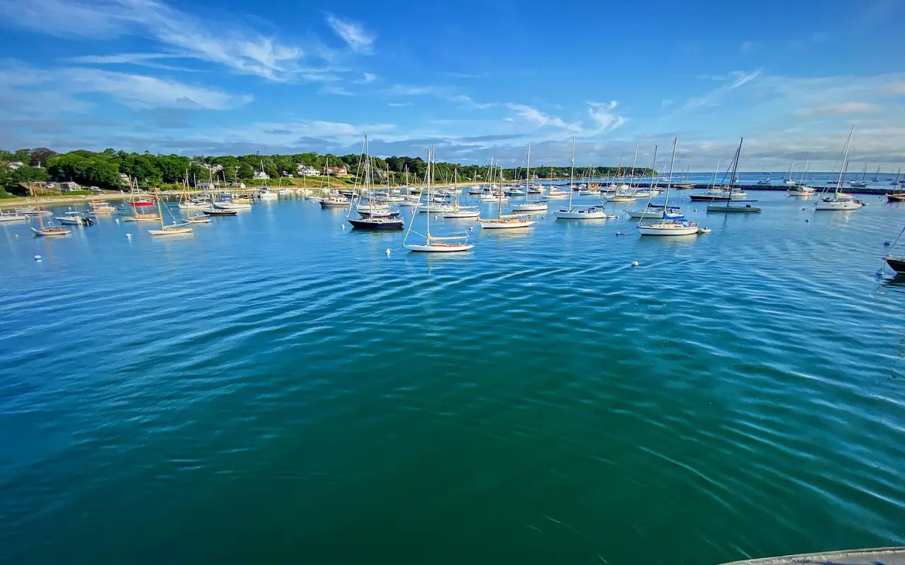 Vineyard Haven Harbor bustling with boats on a summer day
