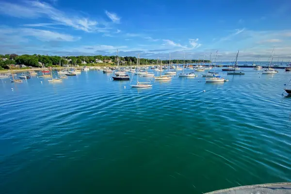 Busy summer day at Vineyard Haven Harbor with boats