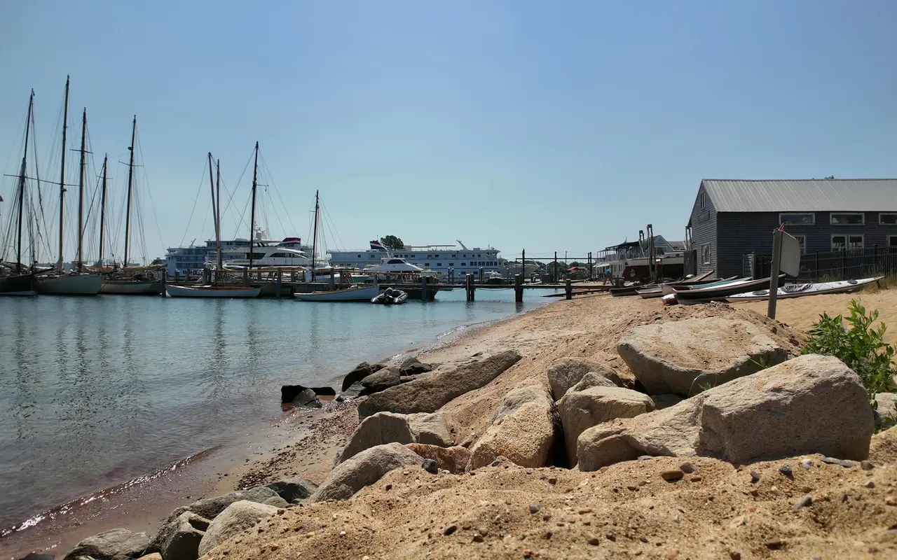 Several tall schooners moored in calm Vineyard Haven Harbor, a sandy beach with boulders in front and a gray shingled building at right