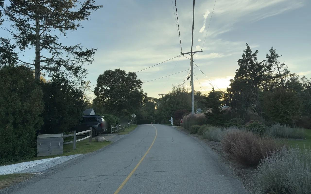 A residential lane near the museum lined with lavender