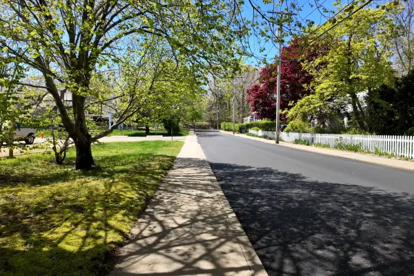 Spring green and picket fences on a quiet Vineyard Haven street