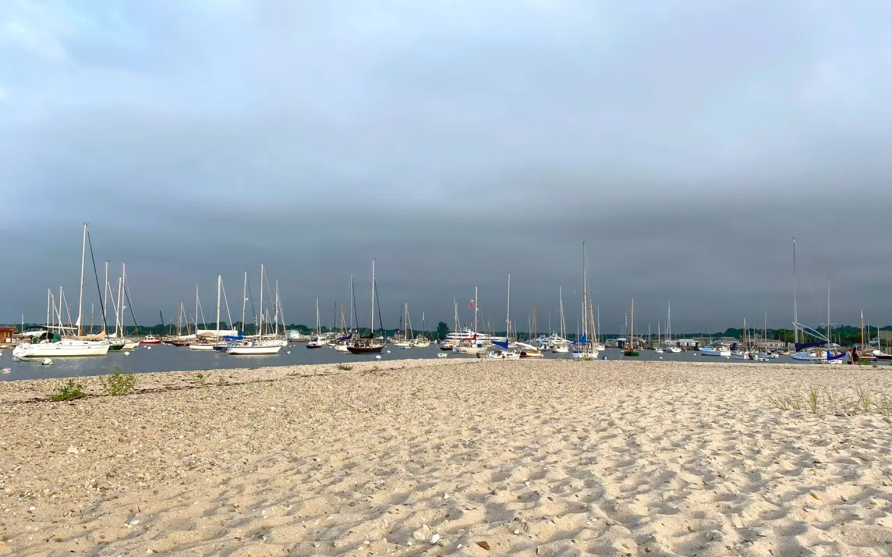 Sailboats moored in Vineyard Haven harbor seen from a sandy beach with a low bluff across the water