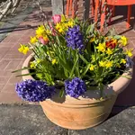 Martha's Vineyard in Spring: The Complete April and May Guide (2026)