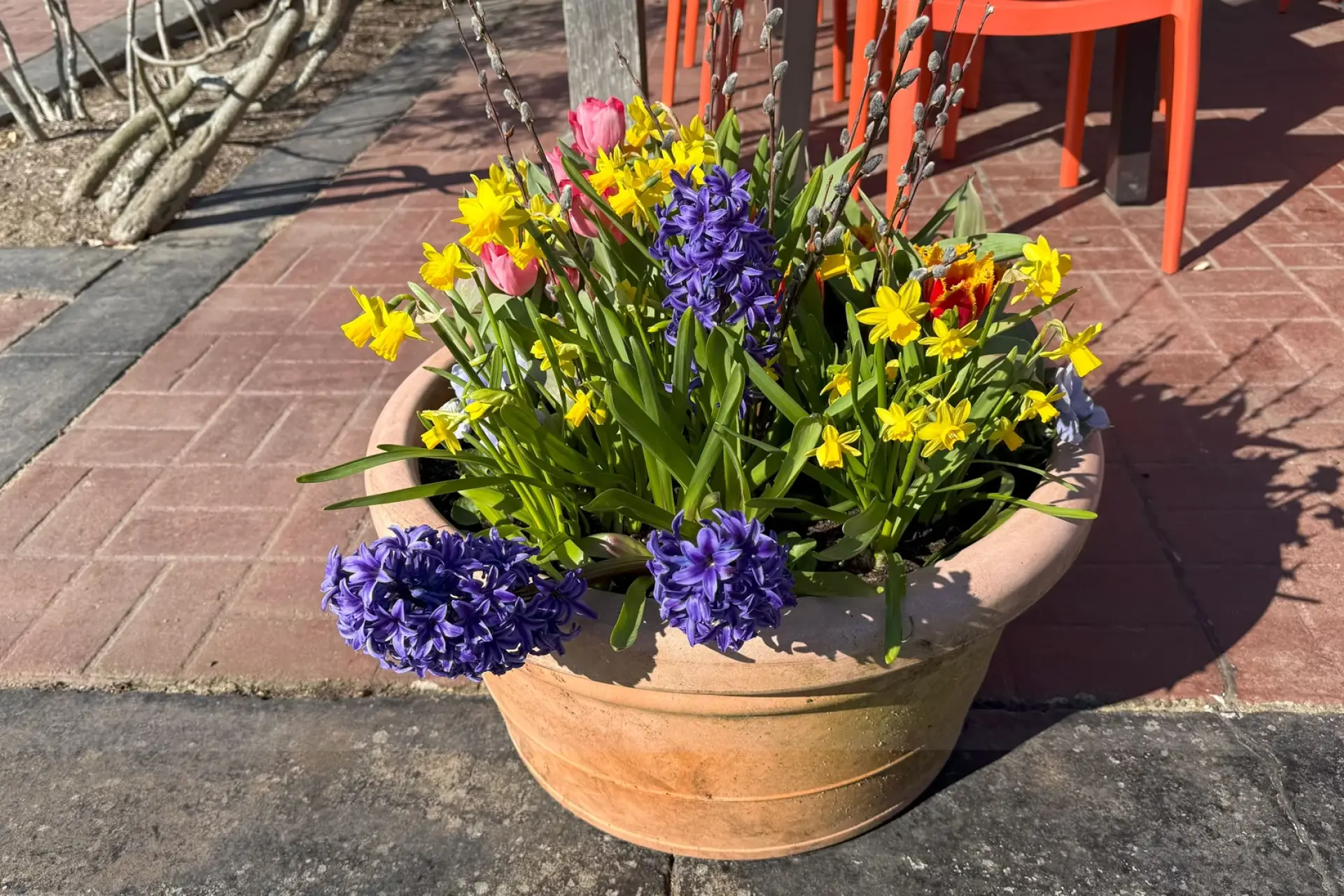 Martha's Vineyard in Spring: The Complete April and May Guide (2026)