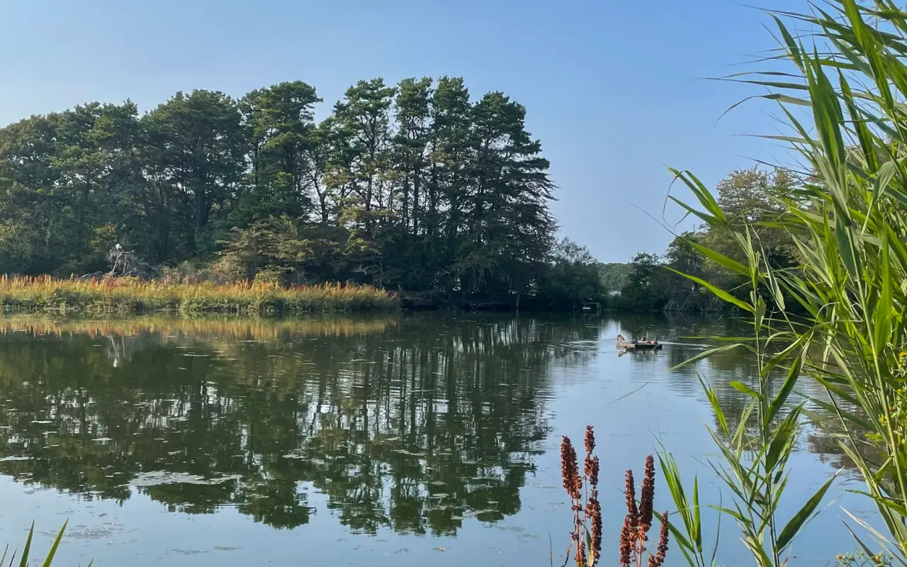 Reeds and still water on Lake Tashmoo near the old water works