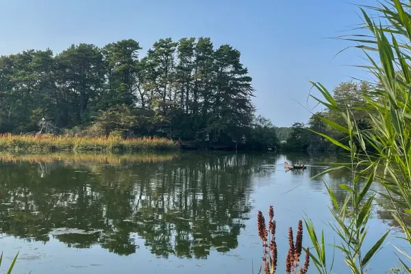 Calm water near the Vineyard Haven water works, Lake Tashmoo