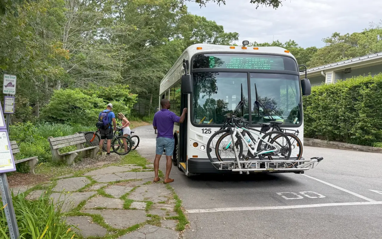 VTA Route 3 bus stop in West Tisbury, Martha's Vineyard