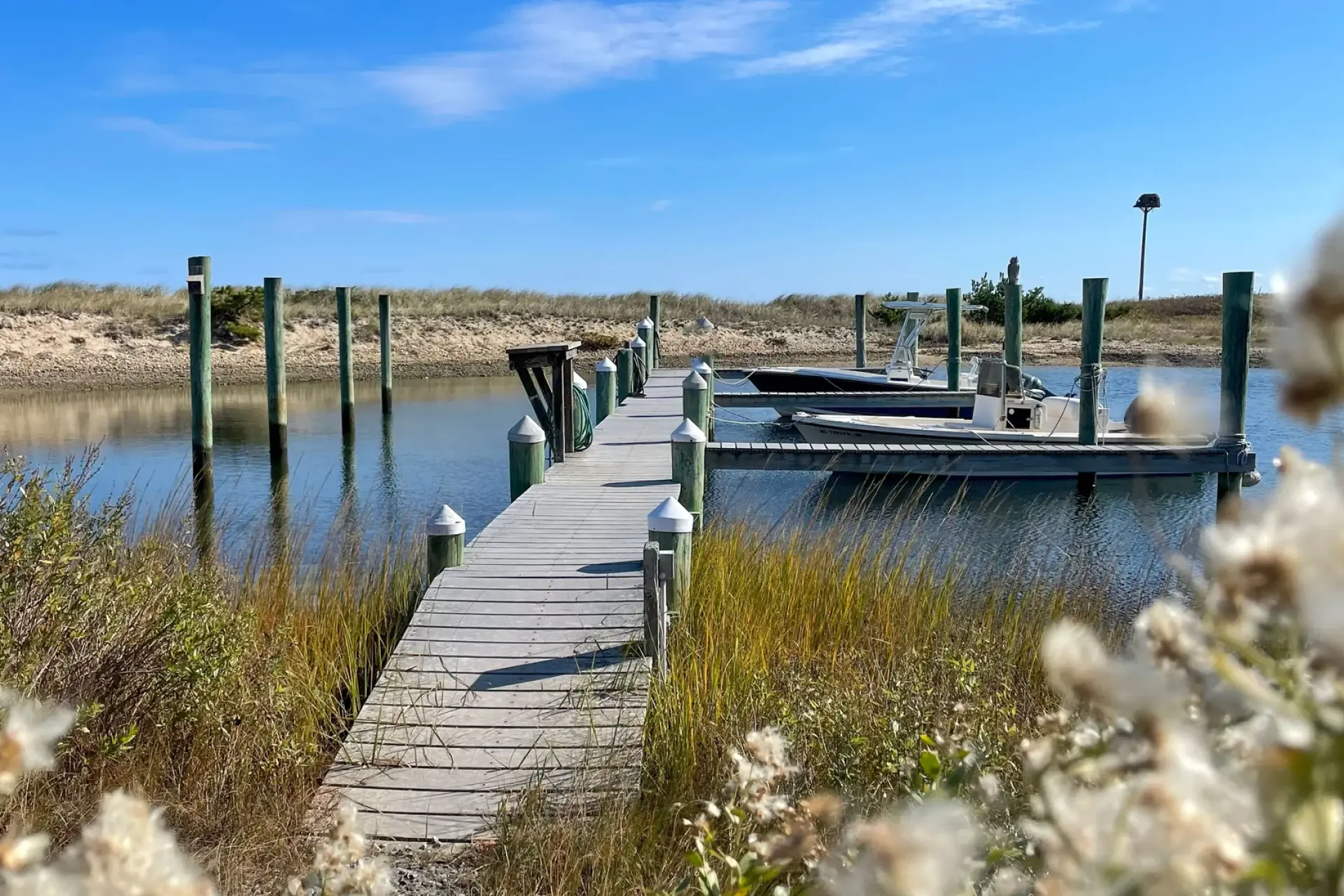 50 Free Things to Do on Martha's Vineyard (2026)