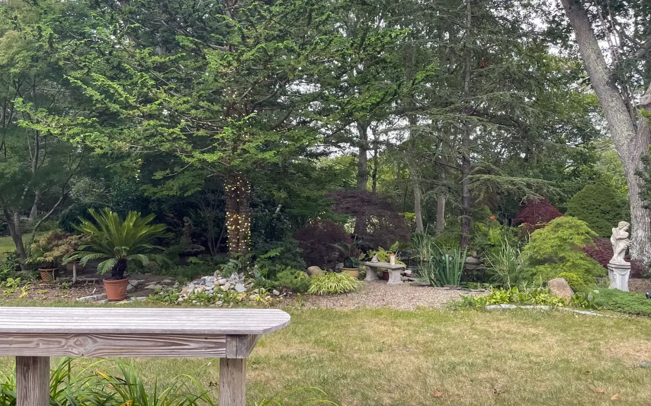 A green West Tisbury garden with a bench, ferns and a stone path in early summer