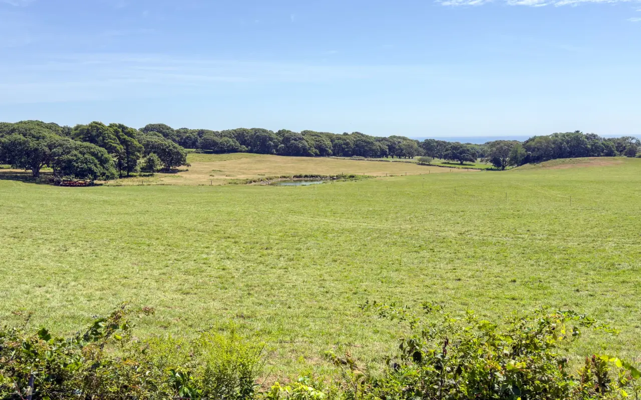 Wide open pasture in rural West Tisbury on Martha's Vineyard