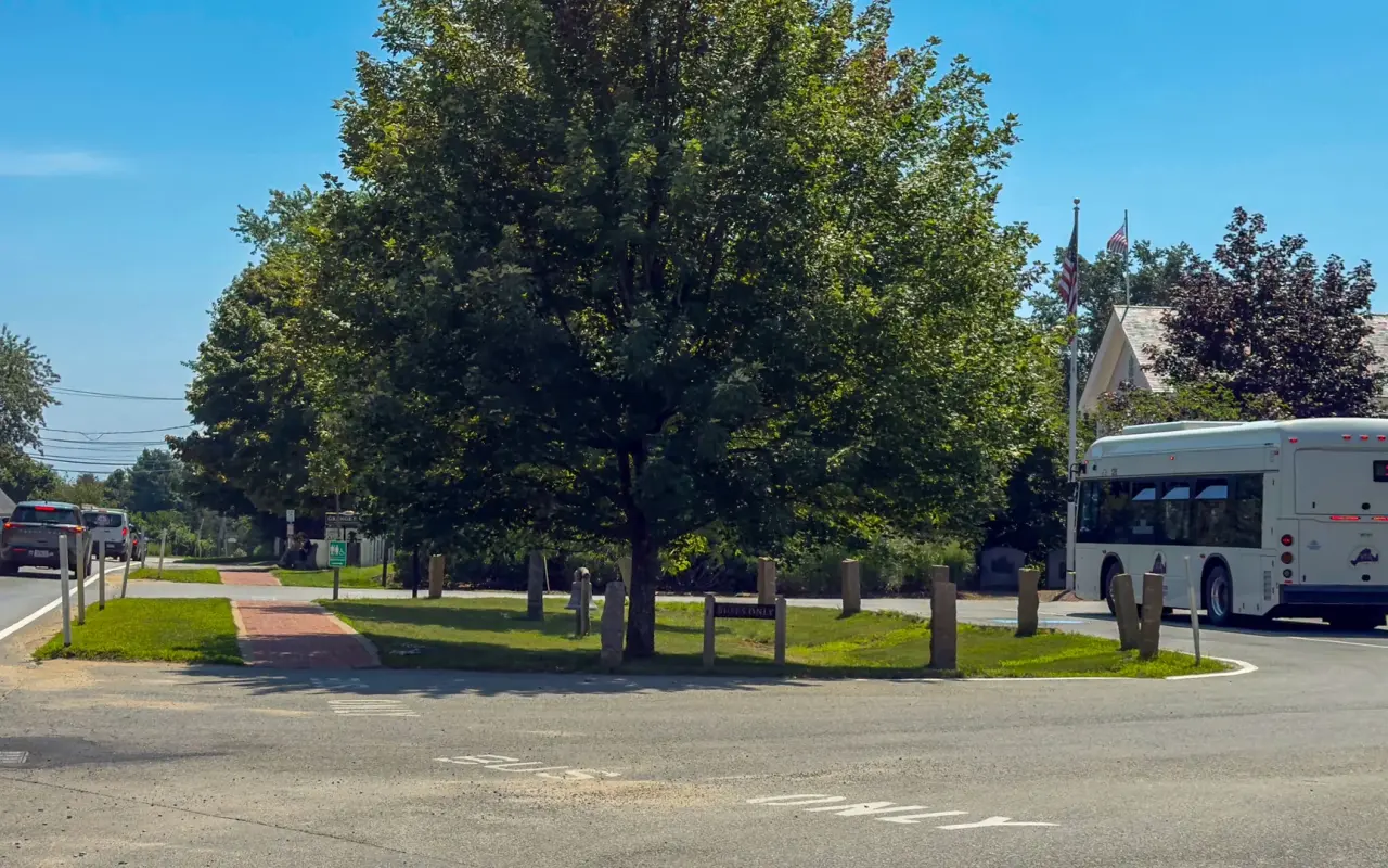 VTA bus on a tree-lined road in West Tisbury