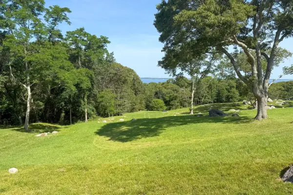 West Tisbury countryside