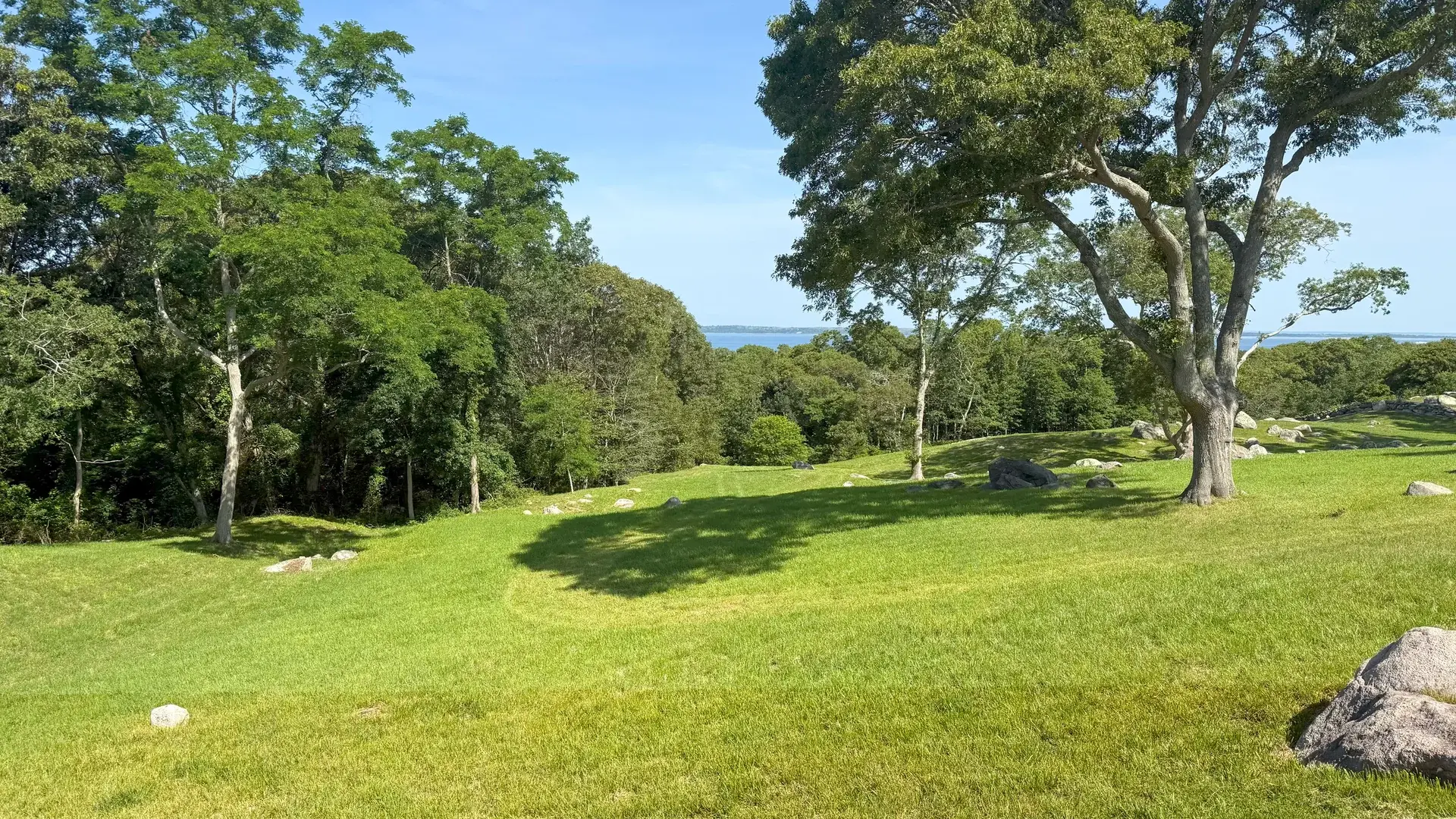 West Tisbury countryside