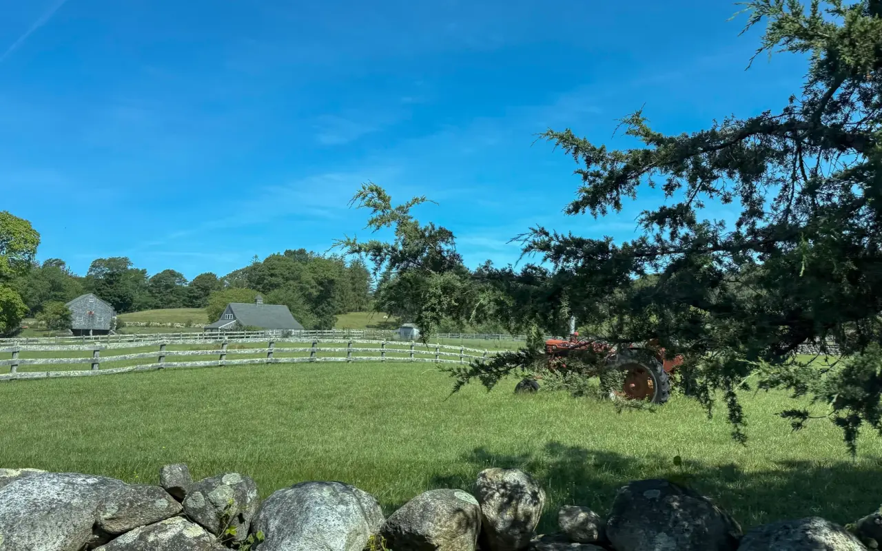 A field in West Tisbury with a red tractor, a wooden fence, a barn and a stone wall in the foreground