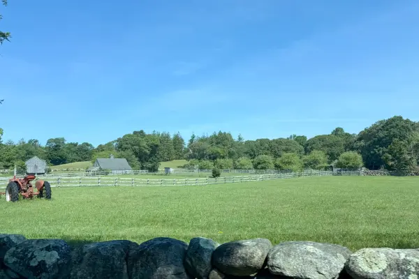 Rolling farm field in West Tisbury