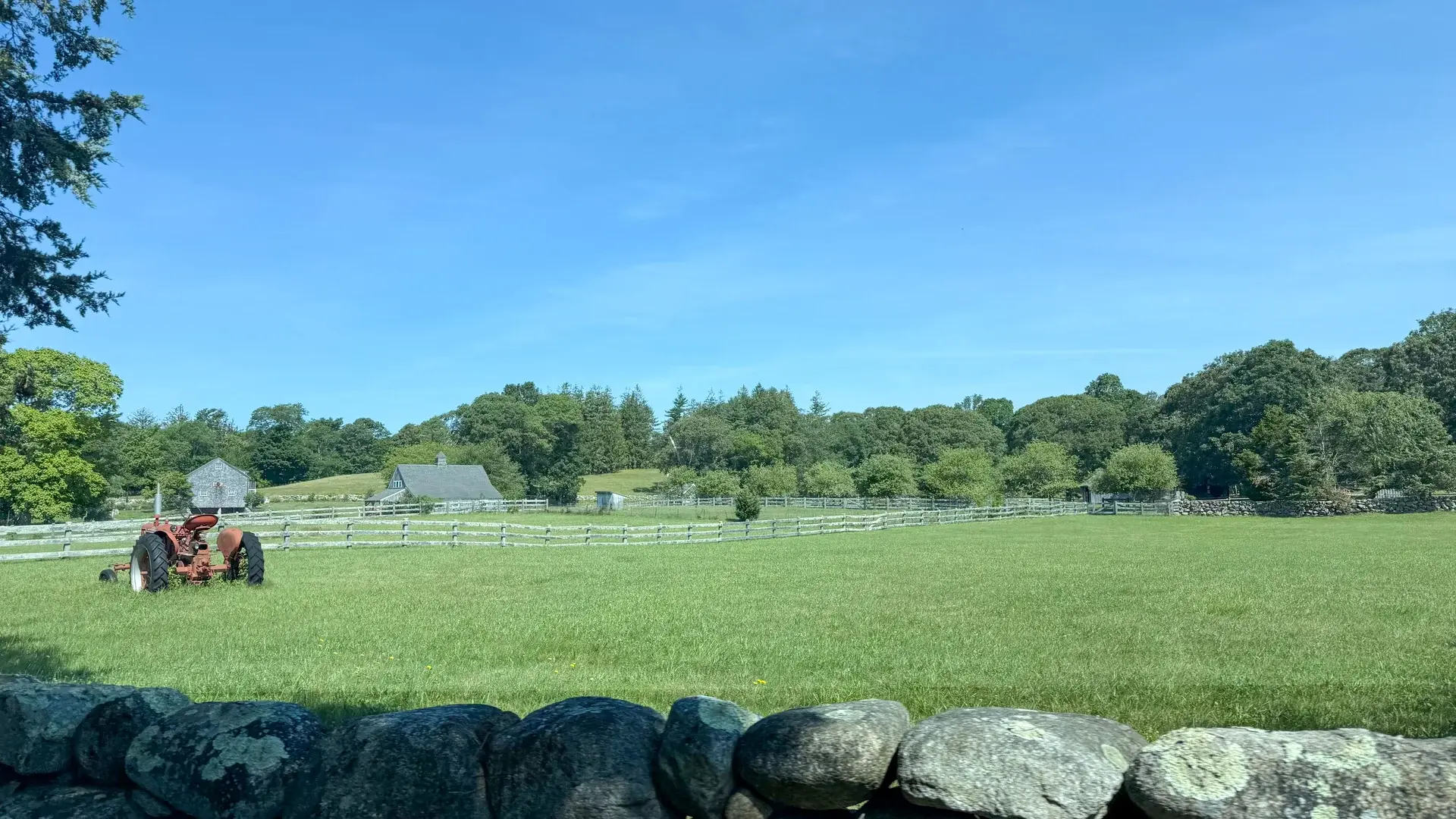 Rolling farm field in West Tisbury