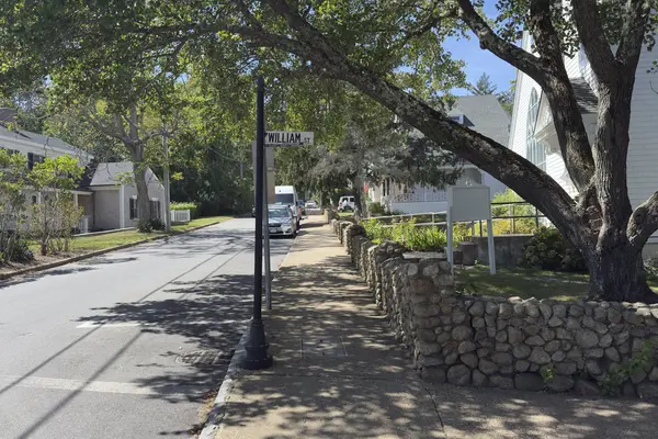 William Street Historic District: fieldstone wall, shade trees and the church with the arched window